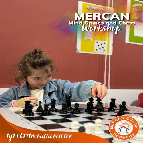 Akıl Oyunları ve Satranç Atölyesi