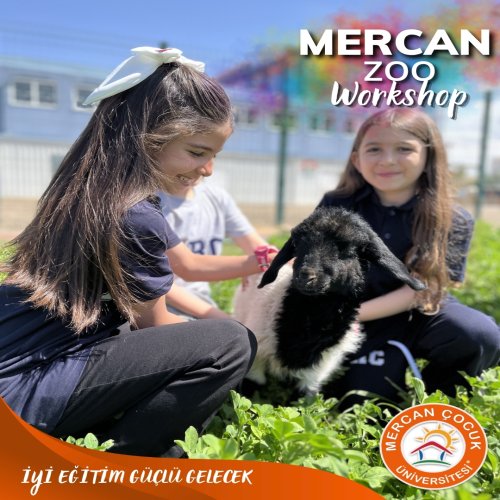 Mercan Hayvanat Bahçesi- Mercan Zoo Workshop